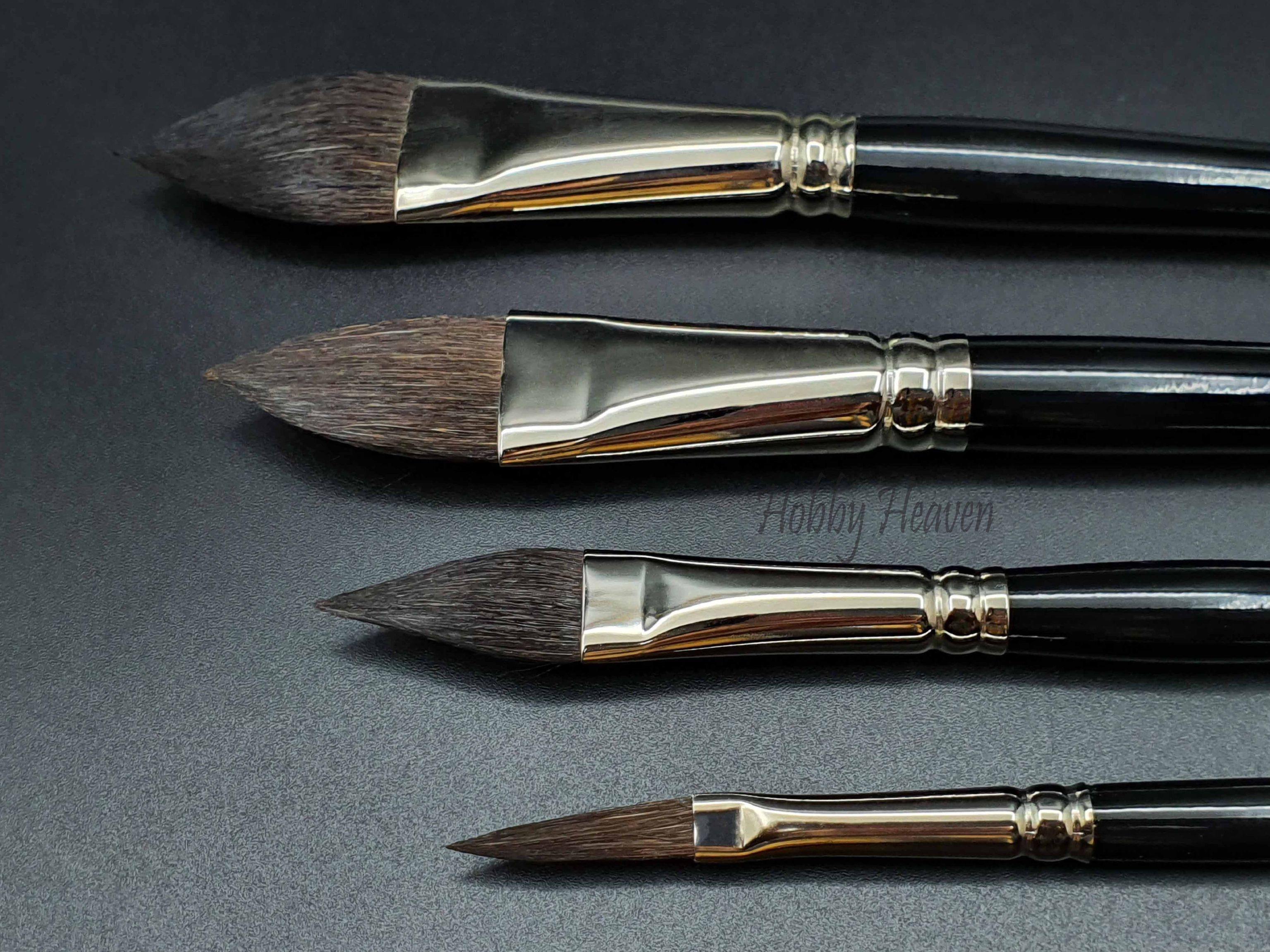 Brush Raphael Skywash 903 — Squirrel Flat