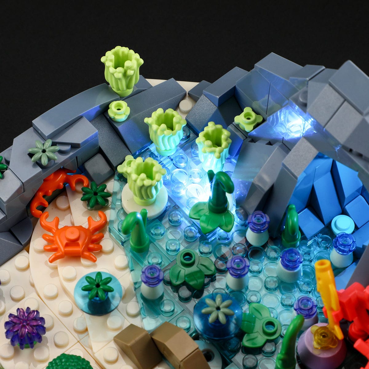 LUMIBRICKS - FUNWHOLE Turtle Reef Dream F9072 X004LGBKRR
