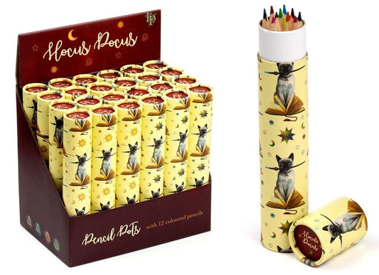 Hocus pocus cat colouring pencil pot 5055071790096