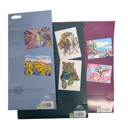 Blue Rain Activity Store Let's Create Paint By Numbers Art Trio