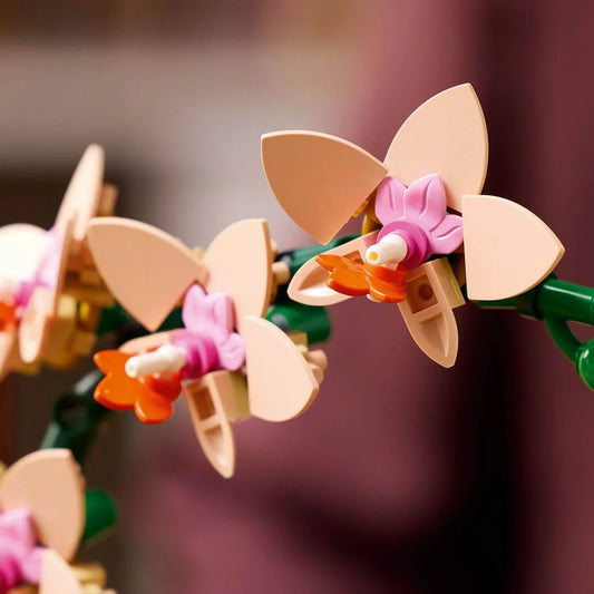 Curious Minds Toys & Games > Toys > Construction Toys > Interlocking Blocks > LEGO > LEGO Flowers Lego Botanicals 10343 Mini Orchid Building Set for Adults Ages 18 & Up