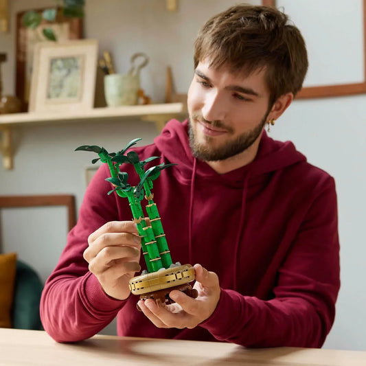Curious Minds Toys & Games > Toys > Construction Toys > Interlocking Blocks > LEGO > LEGO Flowers Lego Botanicals 10344 Lucky Bamboo Building Set for Adults Age 18 & Up