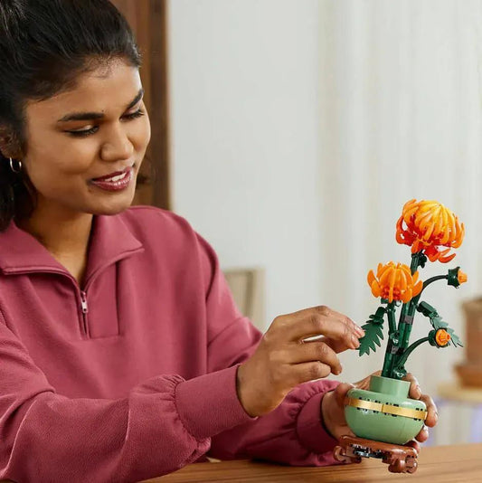 Curious Minds Toys & Games > Toys > Construction Toys > Interlocking Blocks > LEGO > LEGO Flowers Lego Botanicals 10368 Chrysanthemum Model Set for Adults Ages 18 & Up