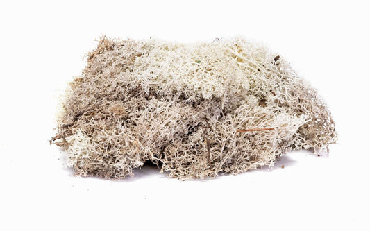 Empire Warehouse Model railways Hornby SkaleScenics R7193 Lichen - Stone Grey