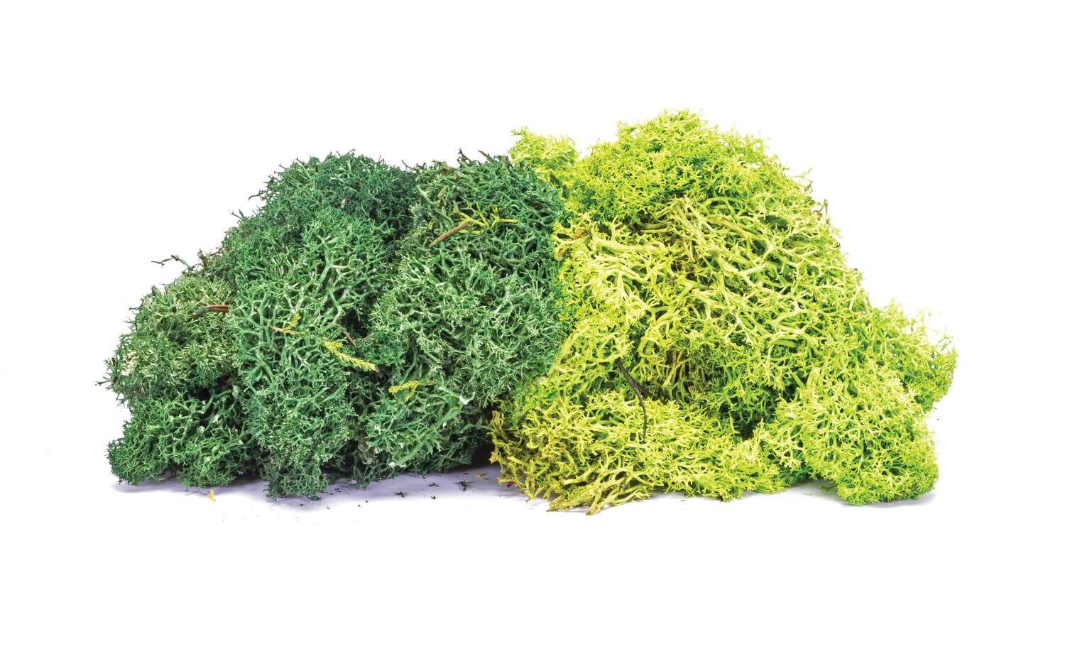 Empire Warehouse Model railways Hornby SkaleScenics R7195 Lichen - Large Green Mix