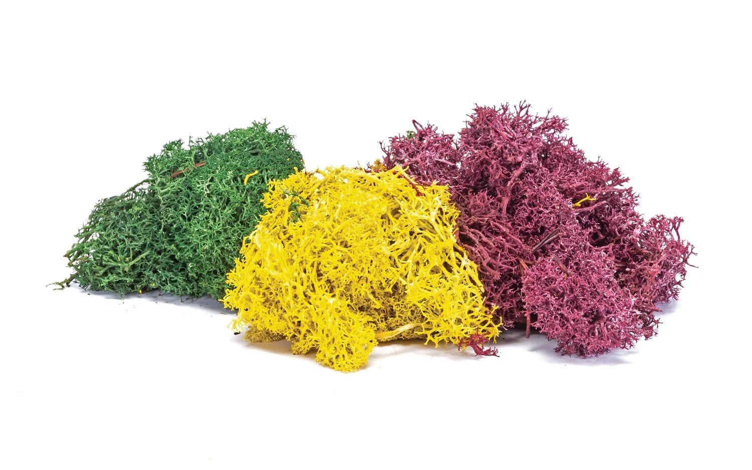 Empire Warehouse Model railways Hornby SkaleScenics R7196 Lichen - Autumn Mix