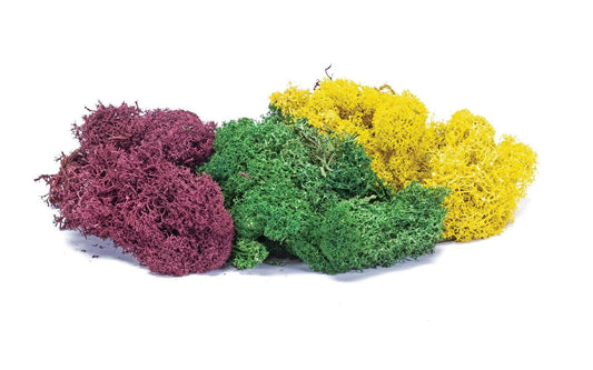Empire Warehouse Model railways Hornby SkaleScenics R7197 Lichen - Large Autumn Mix
