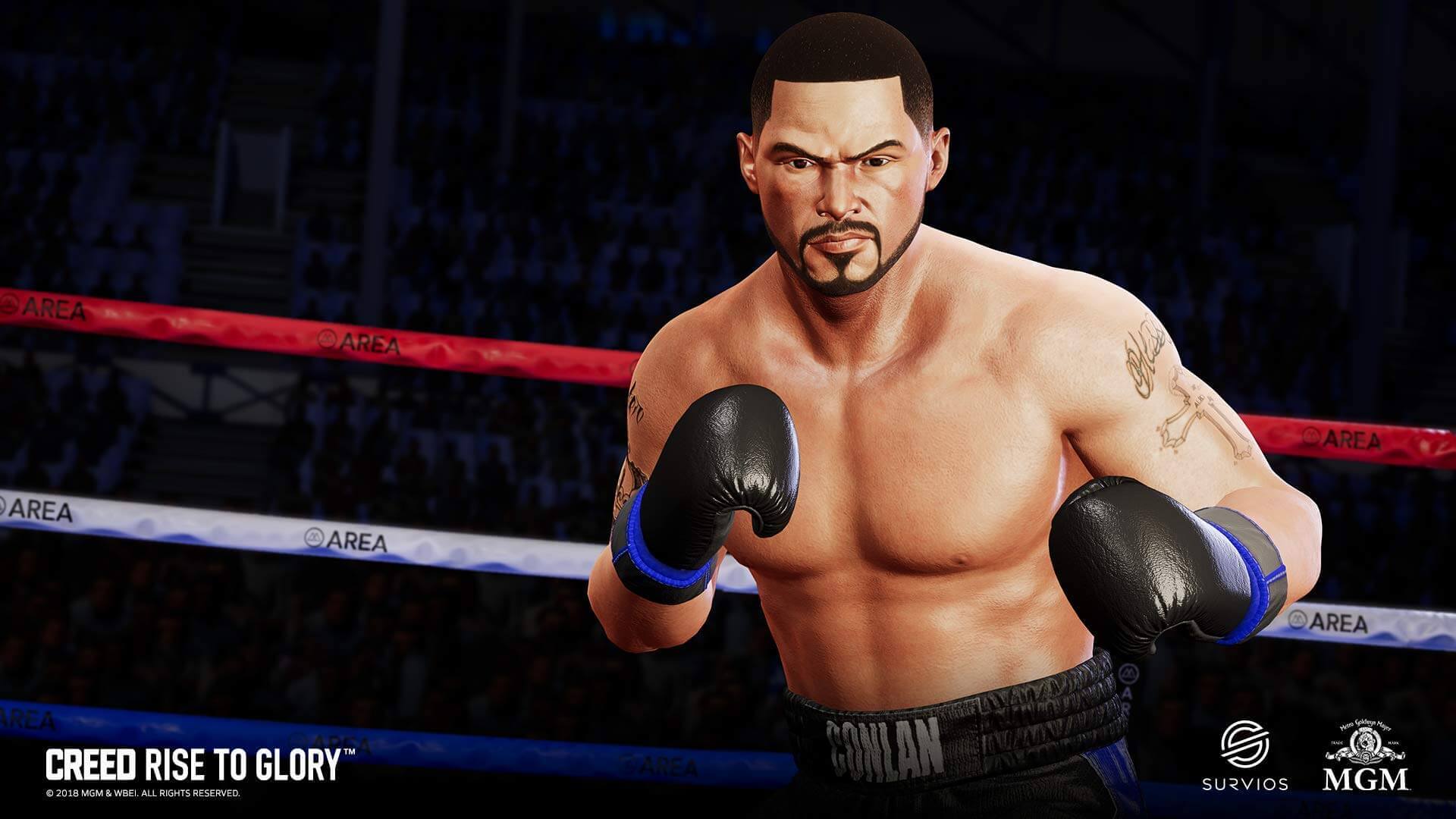 GameRaid Video Game Creed Rise to Glory PSVR PS4