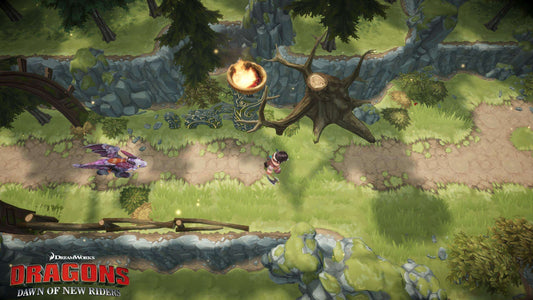 GameRaid Video Game Dragons Dawn of New Riders Nintendo Switch