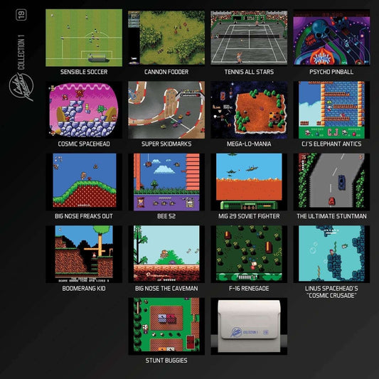 GameRaid Video Game Evercade Codemasters Cartridge 1 Electronic Games No 19