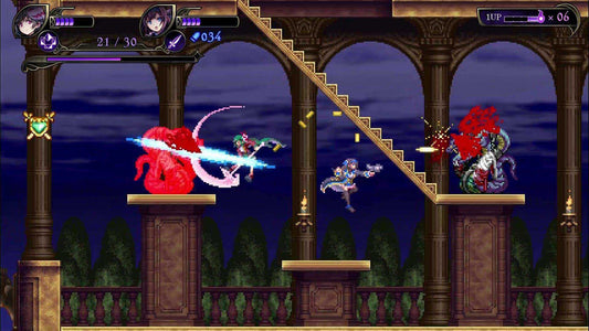 GameRaid Video Game Grim Guardians Demon Purge Nintendo Switch
