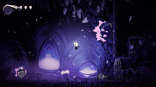 GameRaid Video Game Hollow Knight - Nintendo Switch