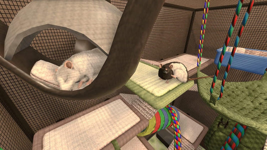 GameRaid Video Game House Flipper – Pets Edition – Nintendo Switch