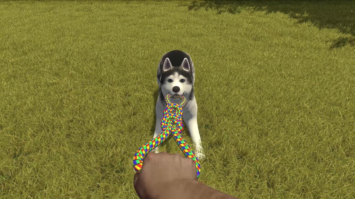 GameRaid Video Game House Flipper – Pets Edition – Nintendo Switch
