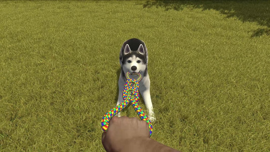 GameRaid Video Game House Flipper – Pets Edition – Nintendo Switch