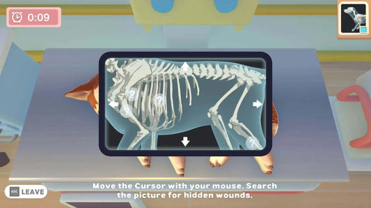 GameRaid Video Game Maximum Games My Universe Pet Clinic PS4