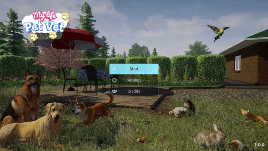 GameRaid Video Game My Life Pet Vet Nintendo Switch