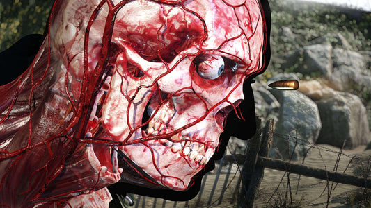 GameRaid Video Game Sniper Elite 5 PS4
