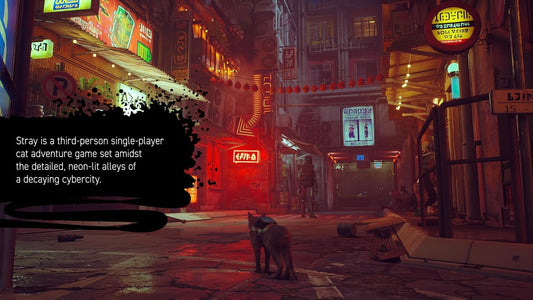 GameRaid Video Game Stray (Nintendo Switch)