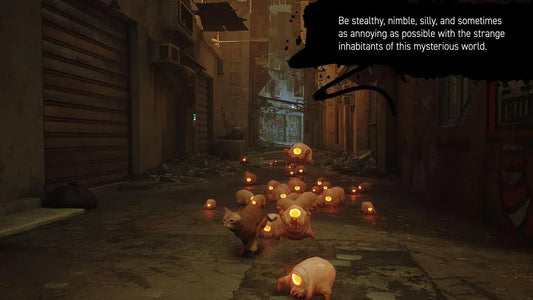 GameRaid Video Game Stray (Nintendo Switch)