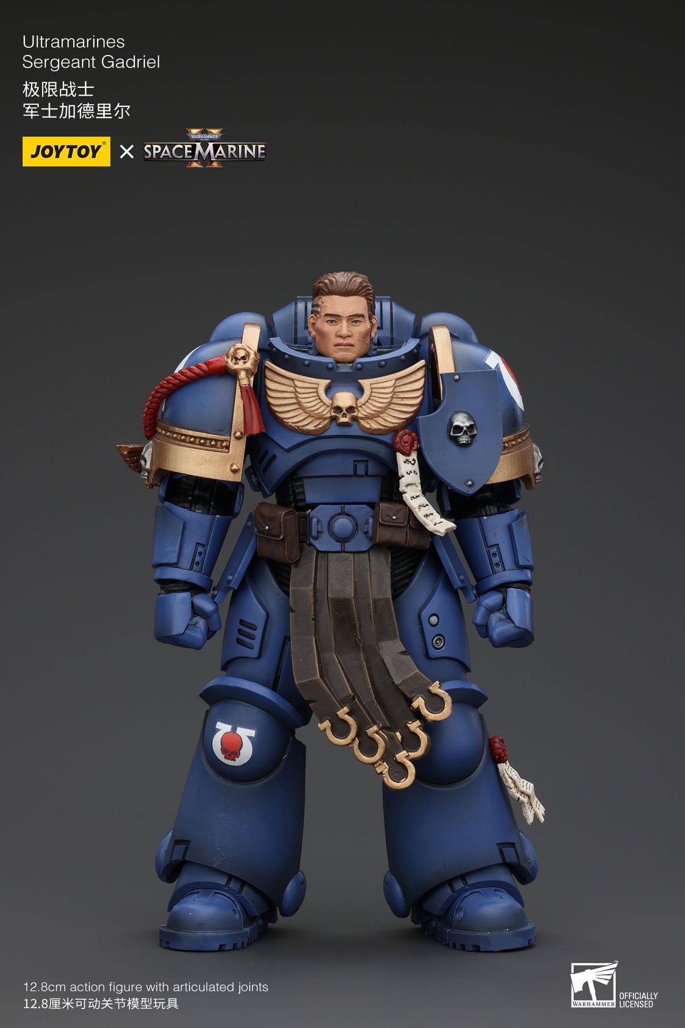 Collectibles Joy Toy Warhammer 40k: Sergeant Gadriel 13cm 6927054400065