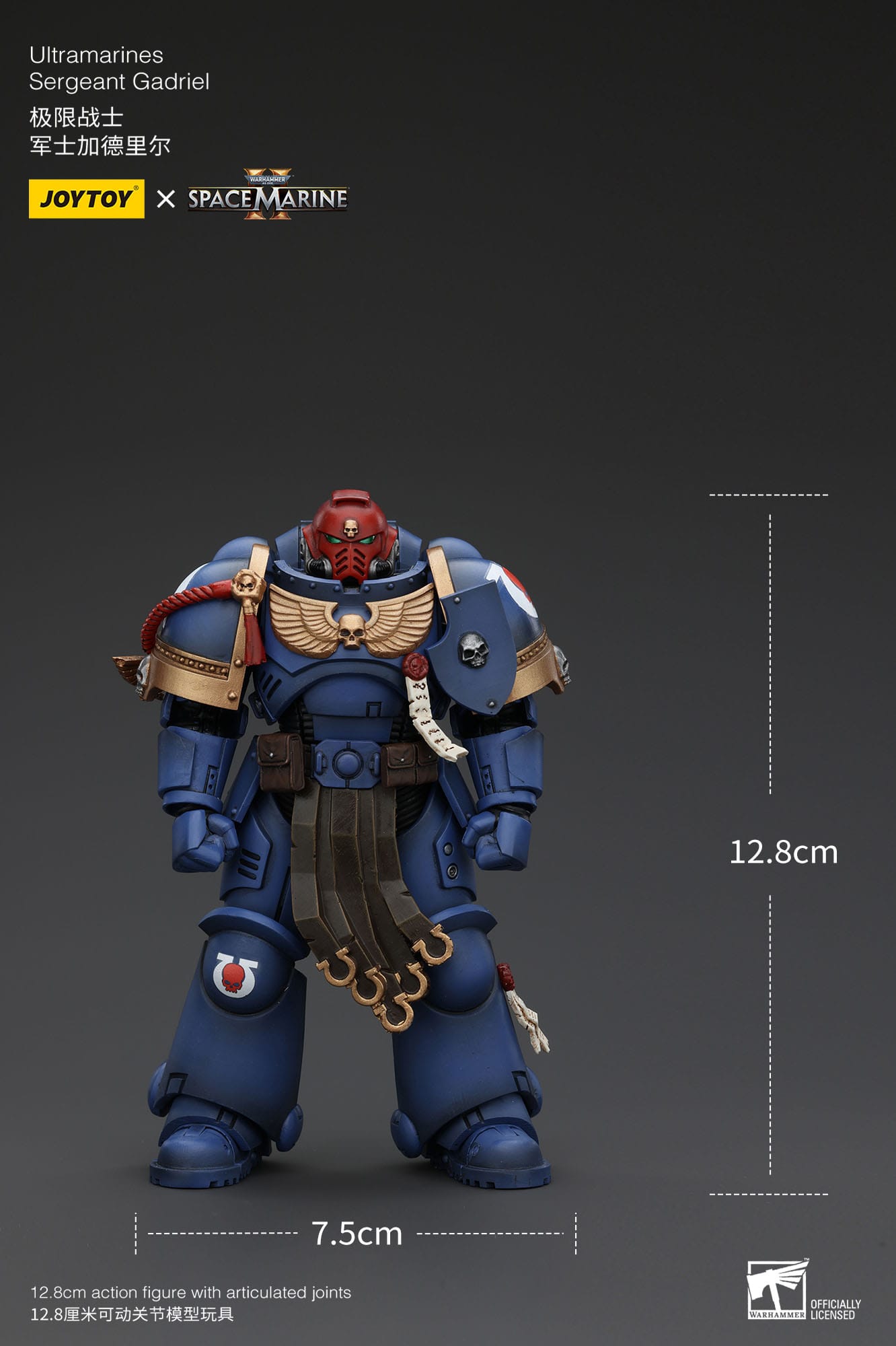 Collectibles Joy Toy Warhammer 40k: Sergeant Gadriel 13cm 6927054400065