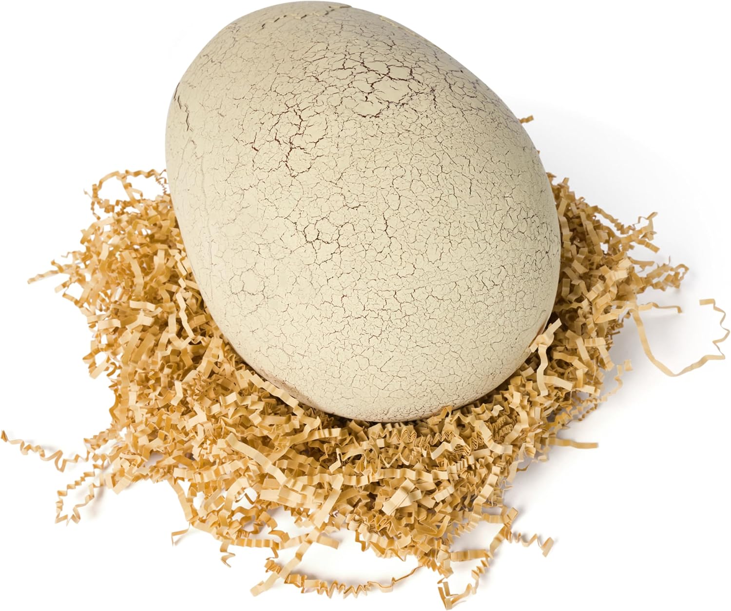 Rooleo Jurassic World Primal Hatch Interactive Toy Dinosaur & Egg