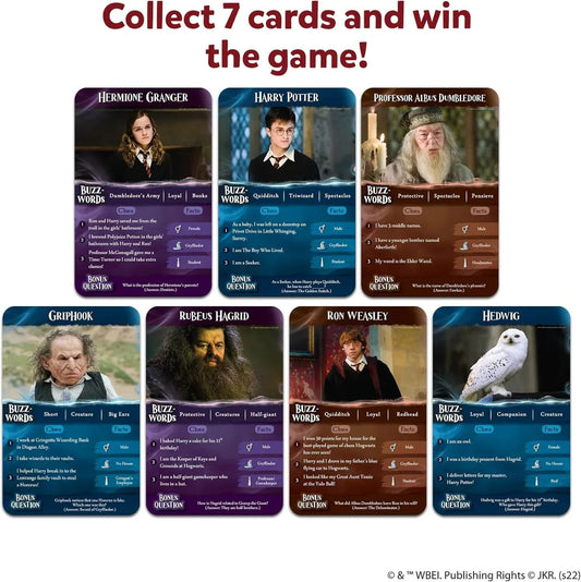 Rooleo Skillmatics Guess in 10 Harry Potter