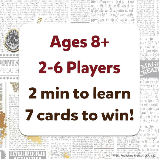 Rooleo Skillmatics Guess in 10 Harry Potter