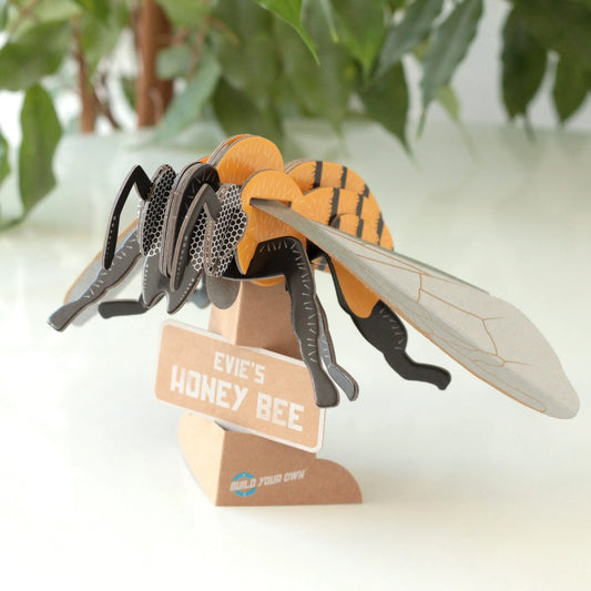 Snaps Honey Bee - build Your Own