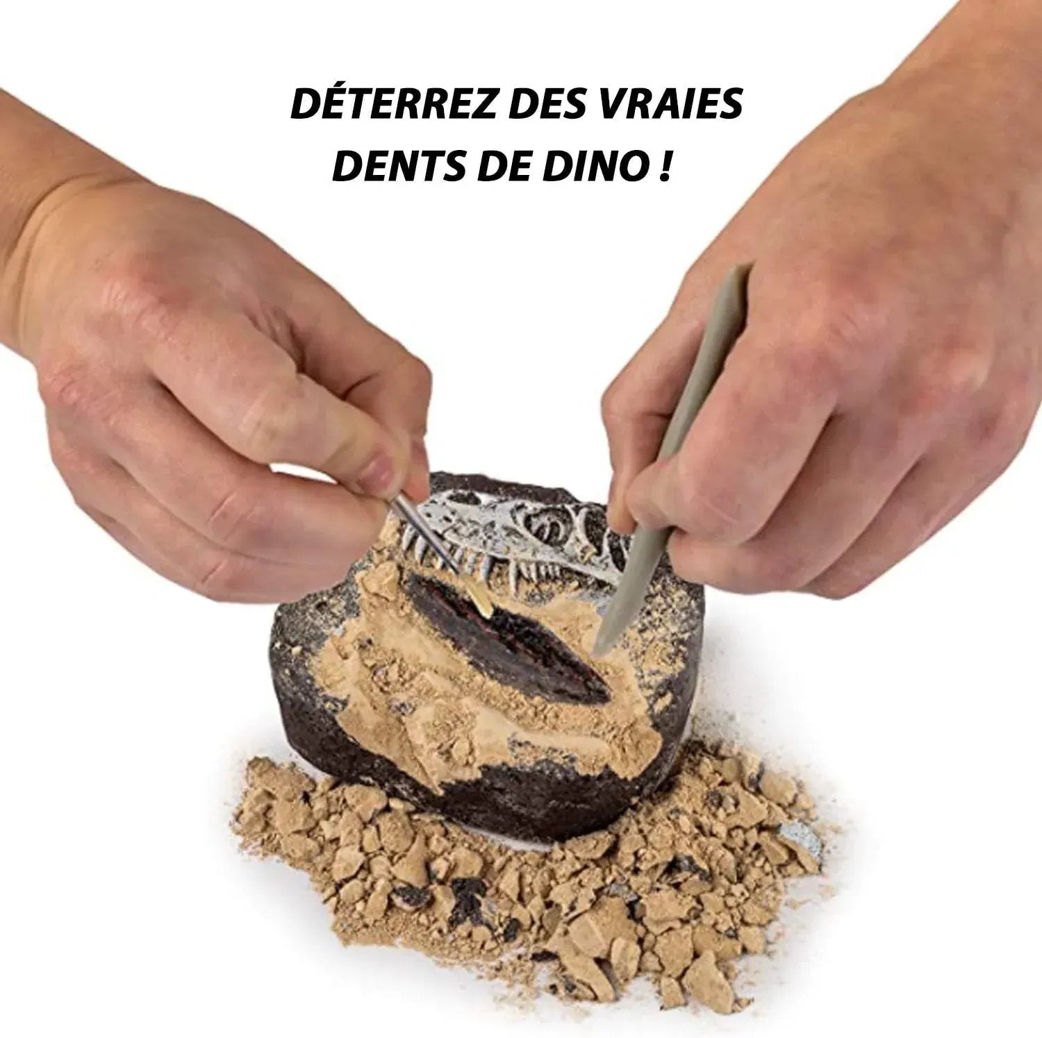 Snaps National Geographic Dinosaur Dig Kit