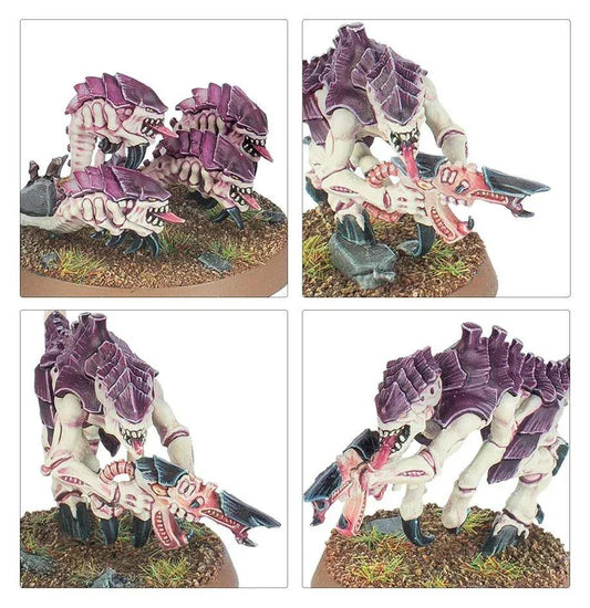 Snaps WARHAMMER 40000: INTRODUCTORY SET