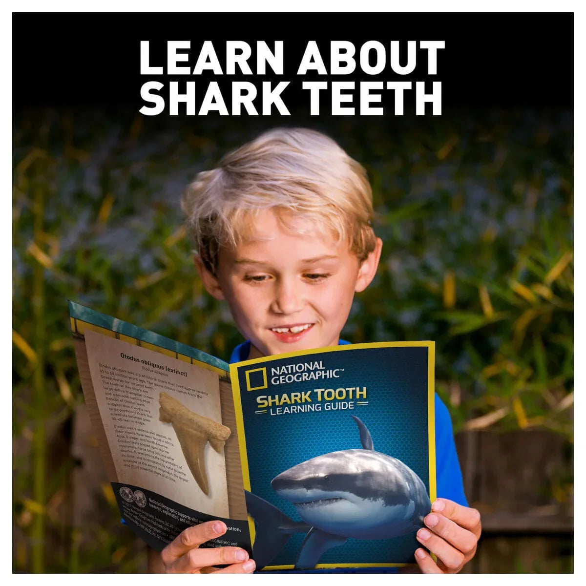 U&C Solutions Ltd Educational Toys National Geographic Shark Tooth Dig Kit STEM Educational Activity Kit Brand New